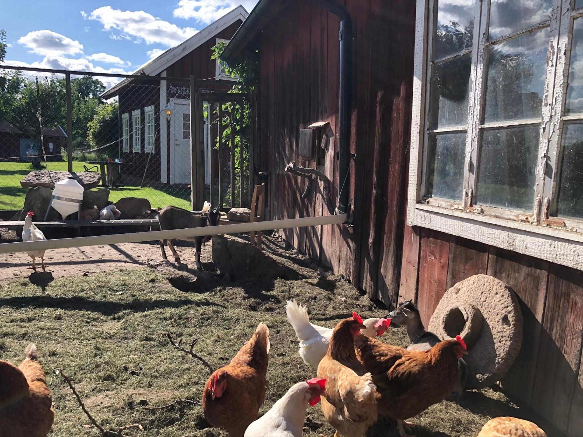 Aeventyrsgardens Vandrarhem, Kinnekulle Källby المظهر الخارجي الصورة